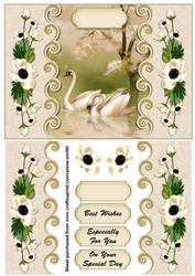 Bordered Swans