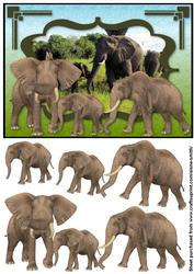 Africa - Elephants