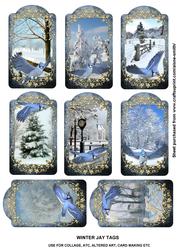 Winter Jay Tags