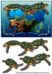 Ocean - Sea Turtles