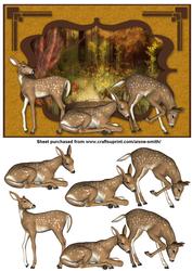 Autumn Fawn