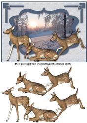 Winter Fawn