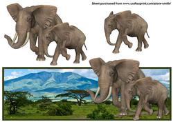 Elephant Landscape Over the Edge