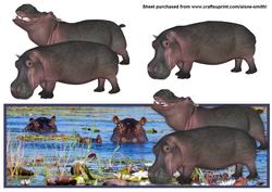 Hippo Landscape Over the Edge
