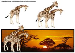 Giraffe Landscape Over the Edge