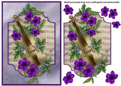 Sweet Melody - Purple