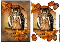 Autumn Owl