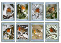 Birds: Winter Robin Tags