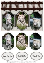 White Tiger Card