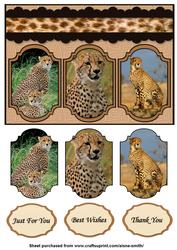 Cheetah Card