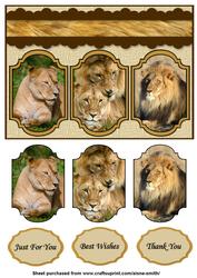 Lions Card
