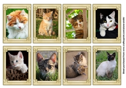 Cats Tags / Note cards