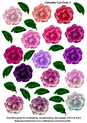 Camellia Cut-Outs 1
