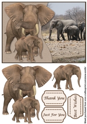 Raised Elephants