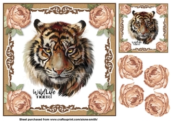 Painted Tiger Card Front