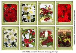 Christmas Flowers Gift Tags / Mini Cards