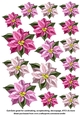 Pink Poinsettia Cut-Outs
