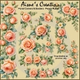 Peach Roses Floral Corners & Borders
