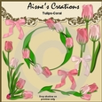 Coral Tulips