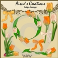 Orange Tulips