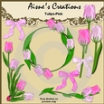 Pink Tulips