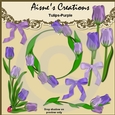 Purple Tulips