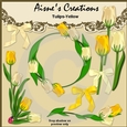 Yellow Tulips