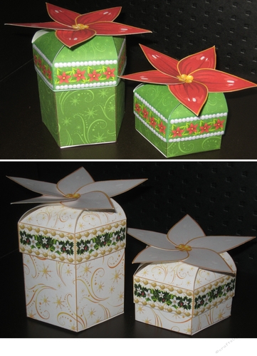 Christmas Star - Poinsettia Box