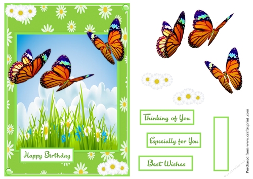 Butterflies and daisies birthday greeting card