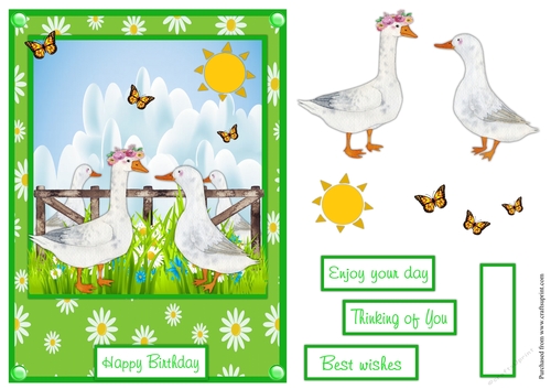 Birthday greeting card with geese
