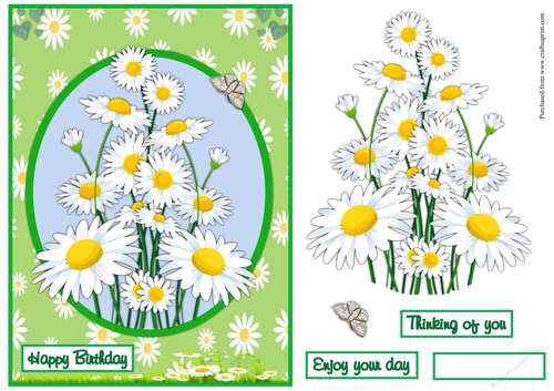 Daisies birthday greeting card