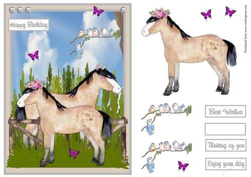 Horses birthday greeting card