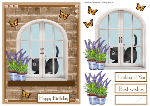 Birthday greeting card with a cat at the window and lavender flowers