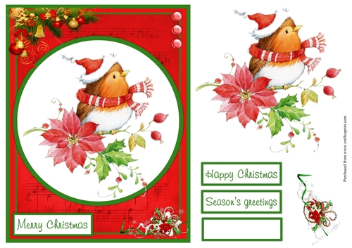 Robin Christmas greeting card