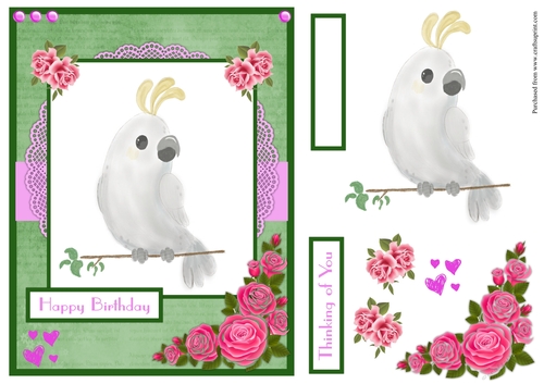 Birthday greeting card with watercolor Parrot 