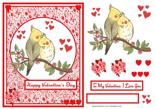 Parrots Valentines Day greeting card