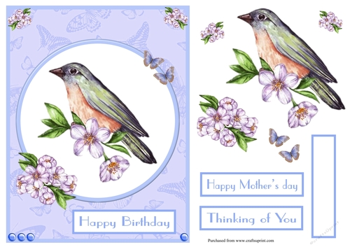 Spring bird in blue birthday greeting card