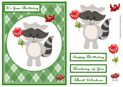 Raccoon birthday greeting card