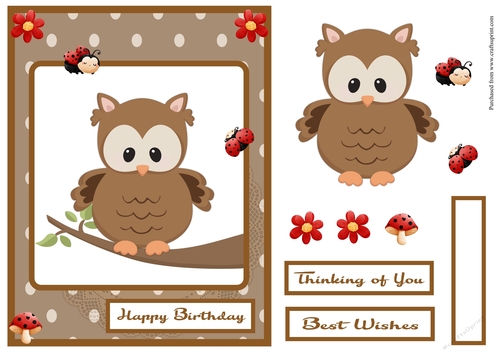 Owl and ladybugs birthday greeting card