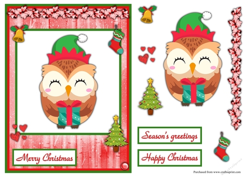 Owl Christmas greeting card