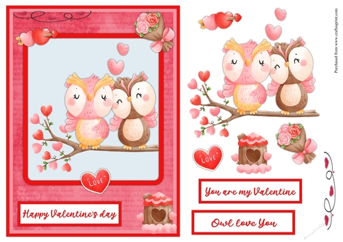 Valentines day greeting card with cute Owls