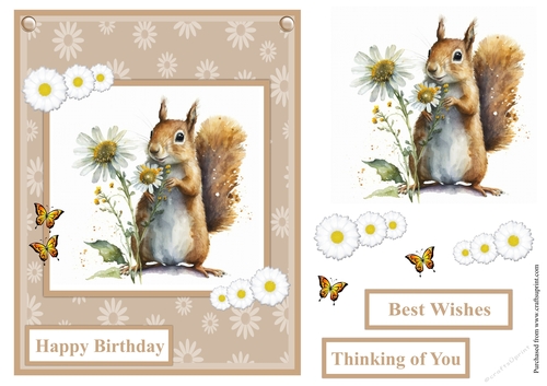 Squirrel with daisy flowers greeting card