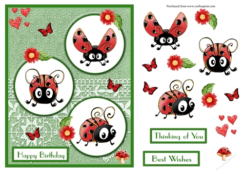 Ladybug and red flowers birthday greeting card