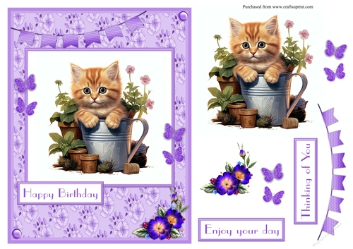 Cat in a watercan greeting card
