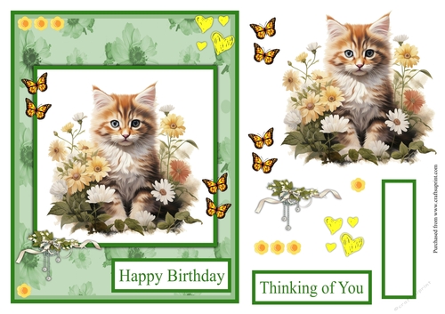 Cat, flowers and butterflies greeting card