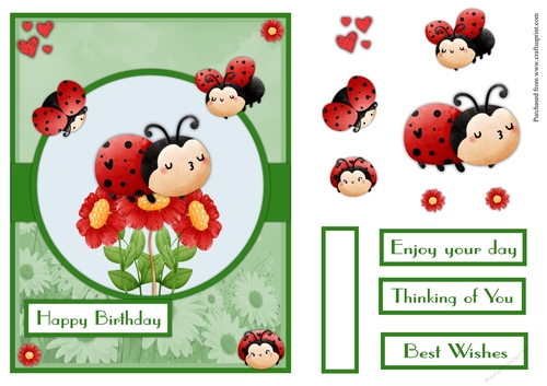 Happy ladybugs birthday greeting card
