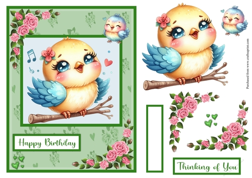 Cute bird birthday greeting card