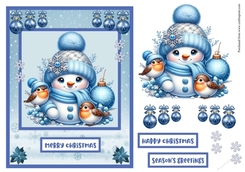 Snowman and robin birds Christmas card