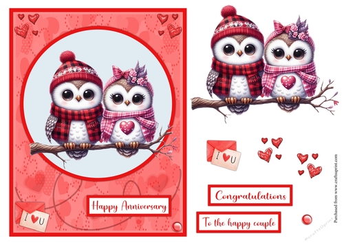 Owls couple Anniversary greeting card