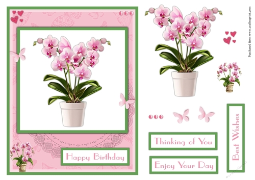Orchid in a vase greeting card